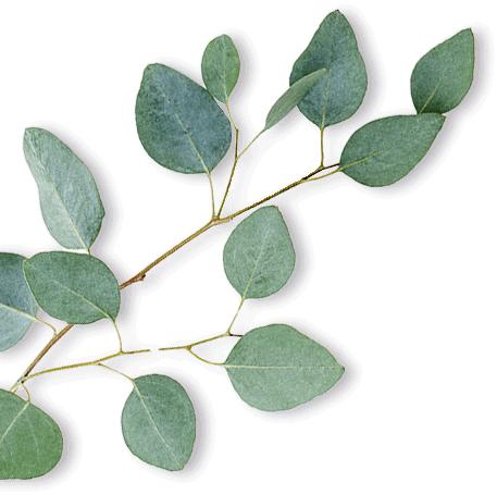 Left Leaf