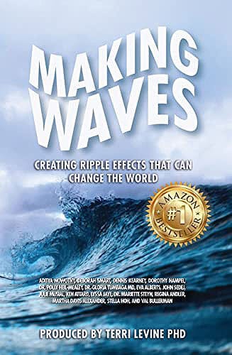 Making Waves Book cover