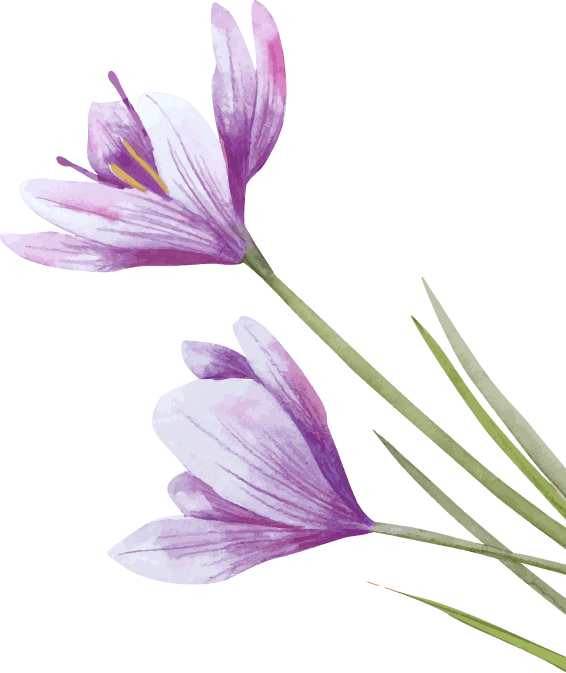 Purple Flowers